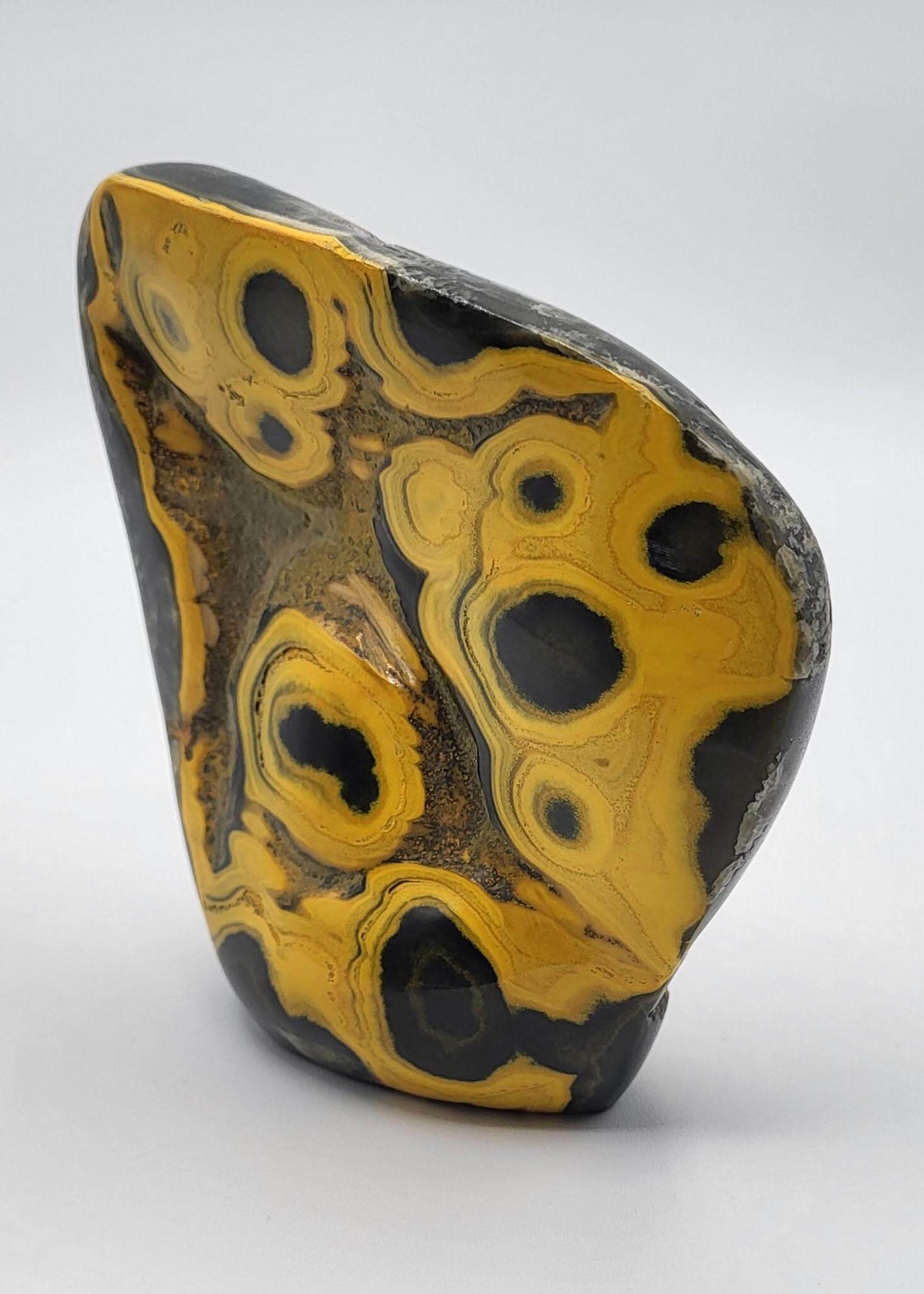 Museum Quality Polished Bumble Bee Jasper