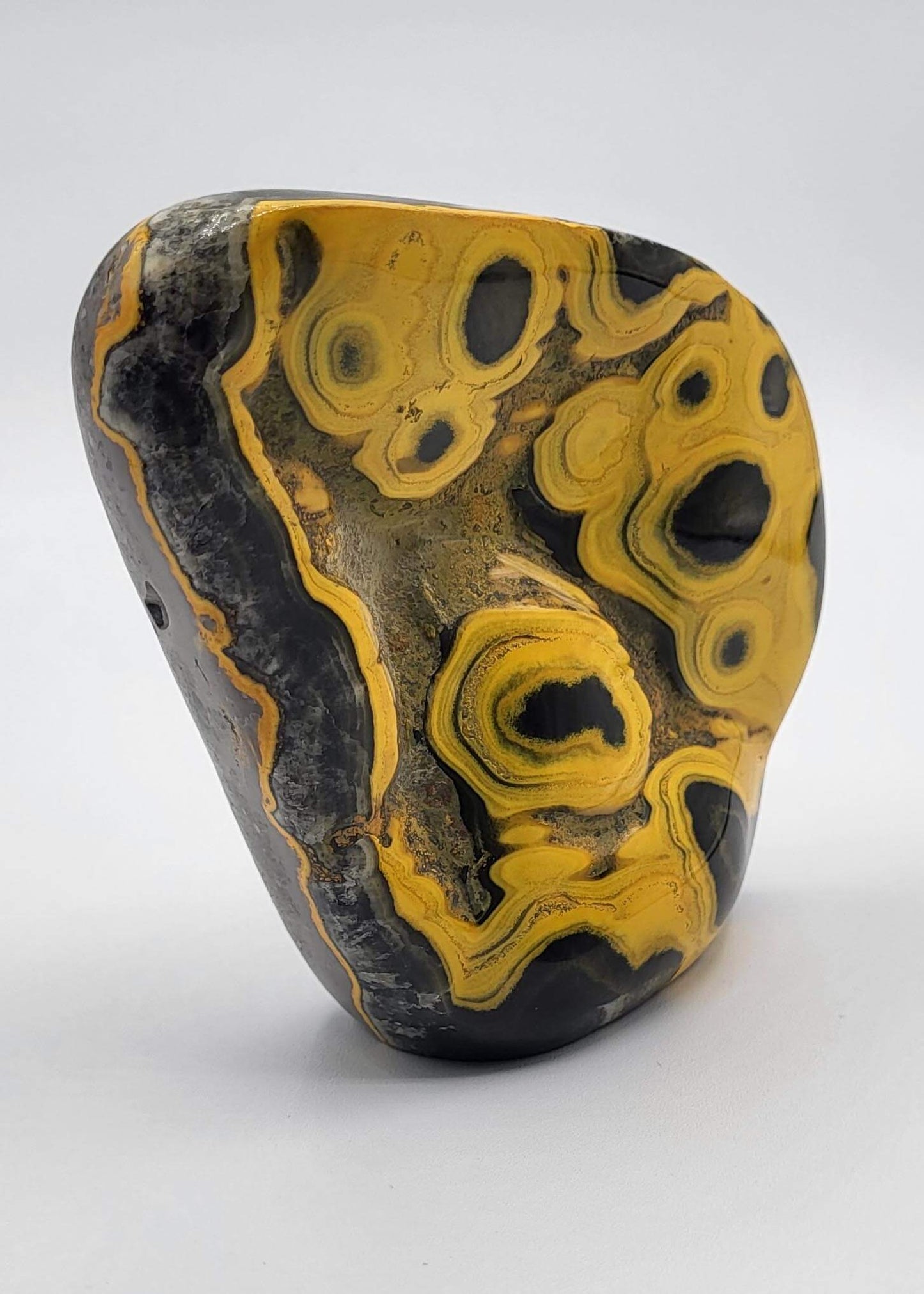 Museum Quality Polished Bumble Bee Jasper