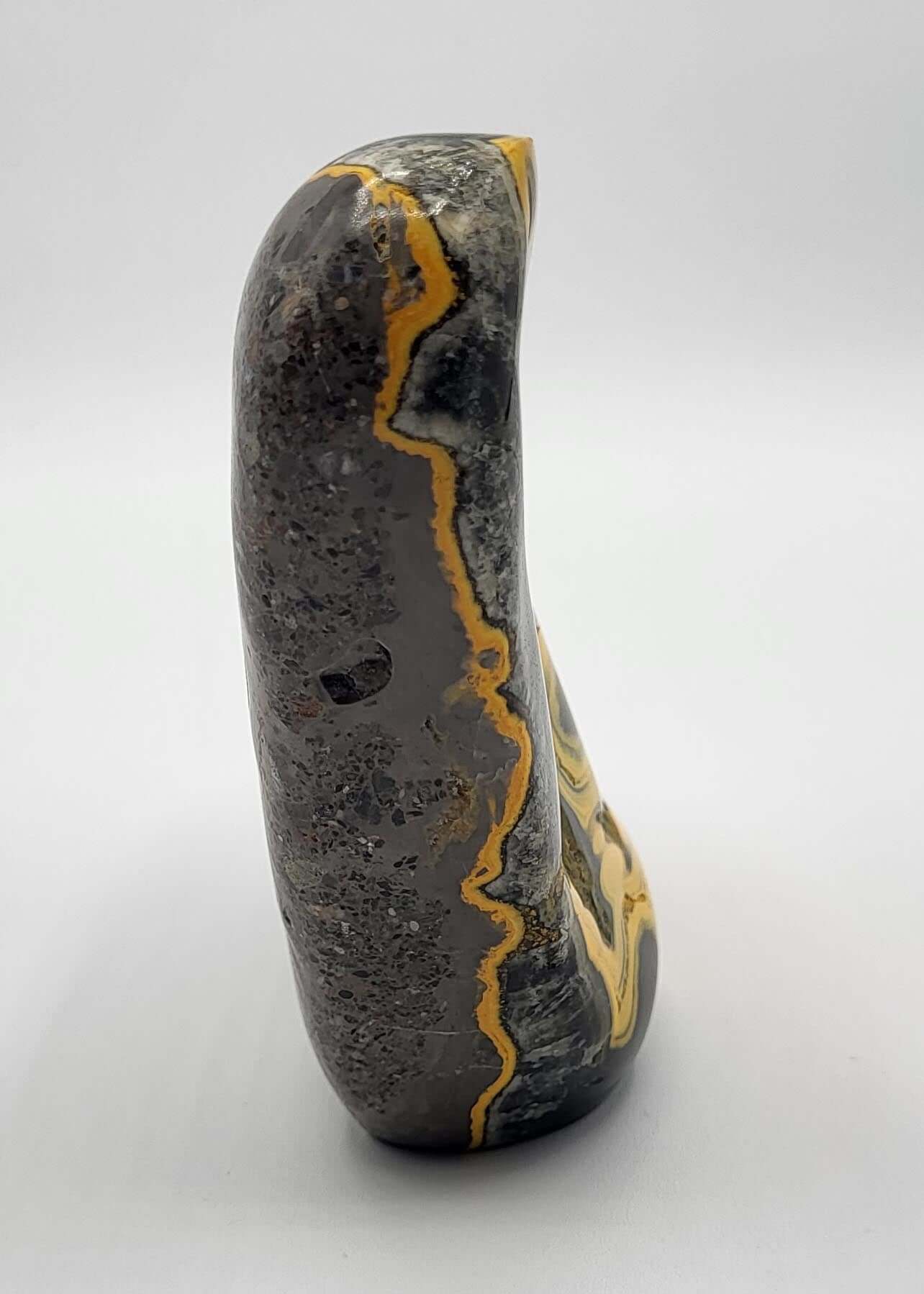 Museum Quality Polished Bumble Bee Jasper