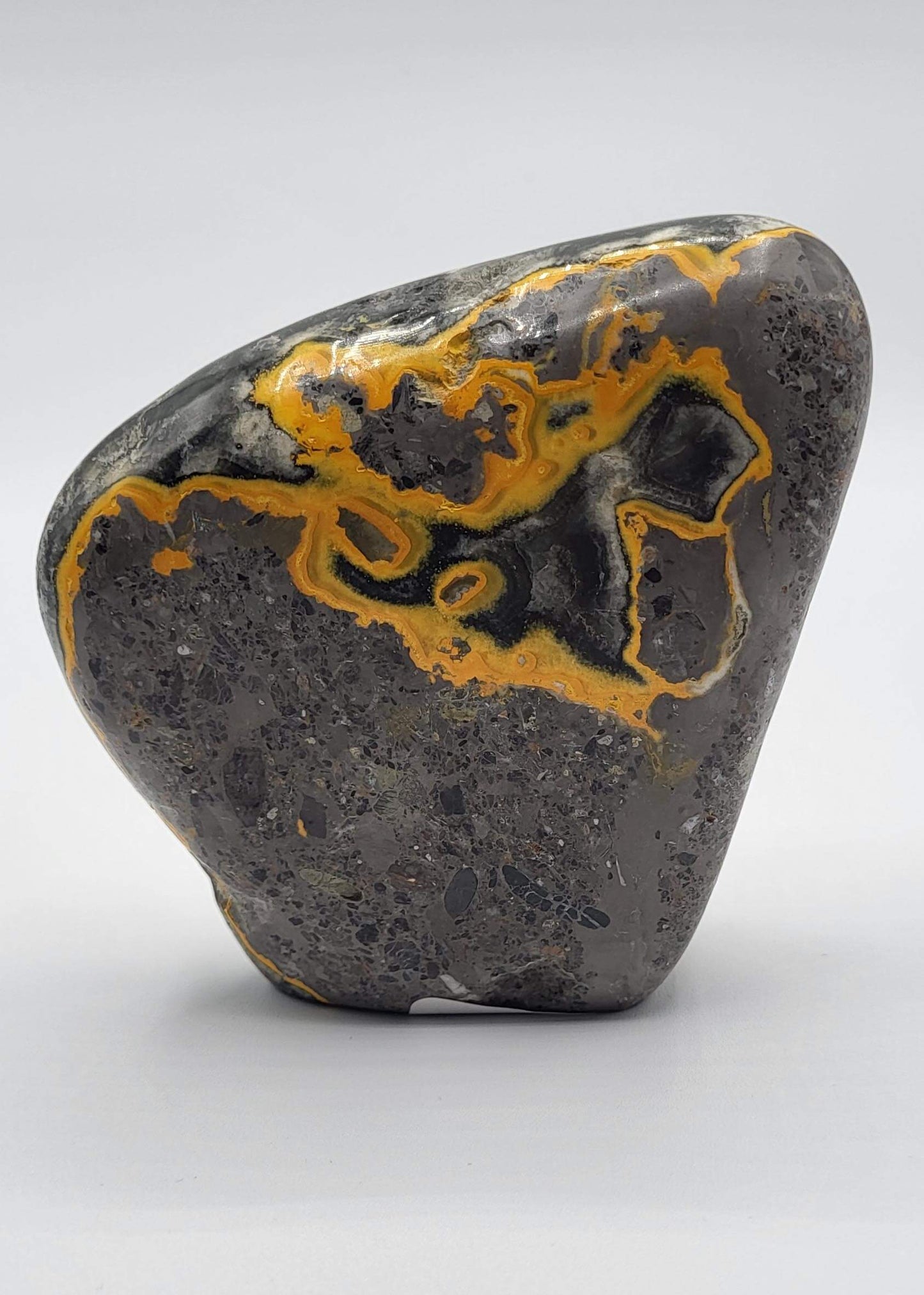 Museum Quality Polished Bumble Bee Jasper