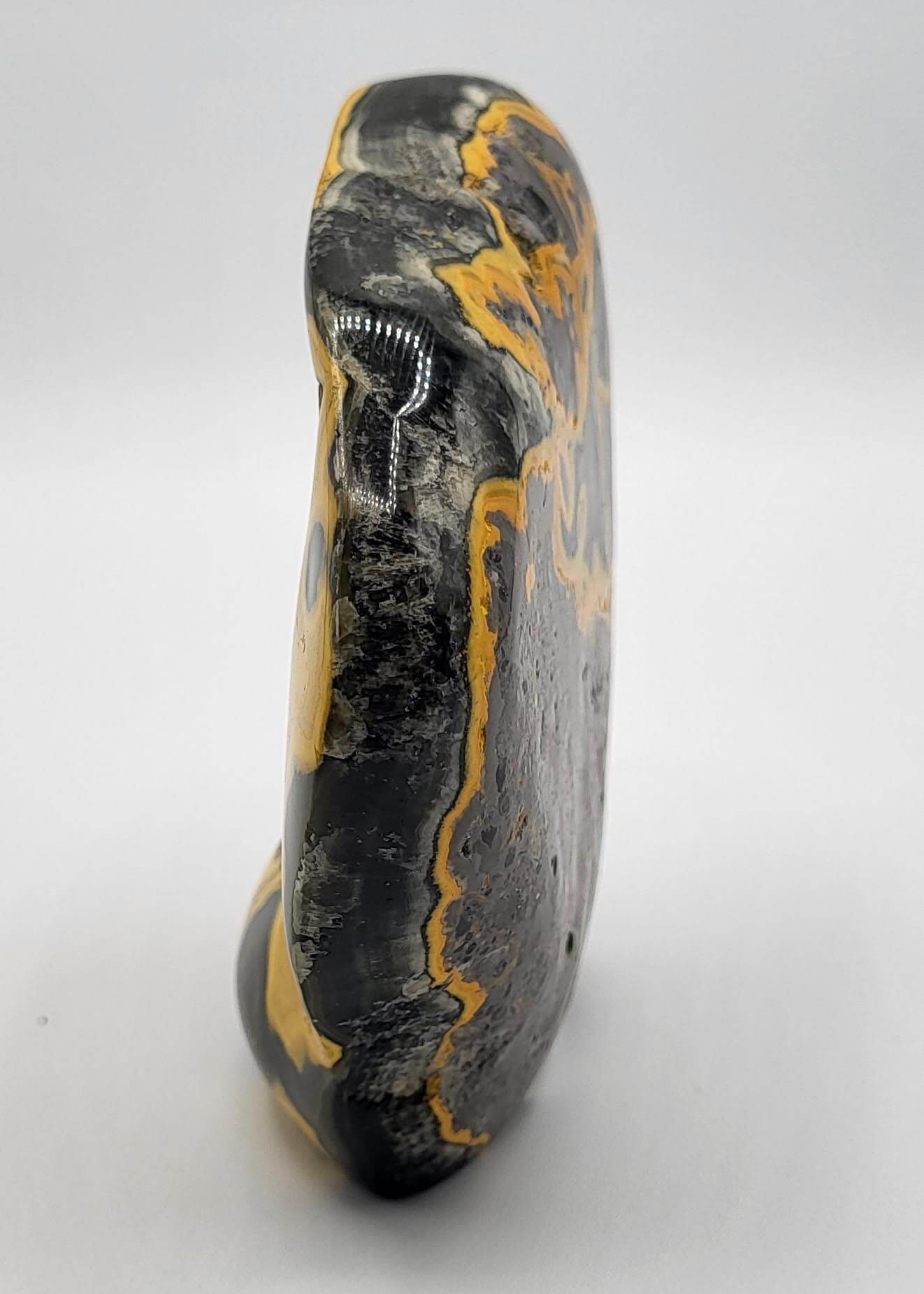 Museum Quality Polished Bumble Bee Jasper