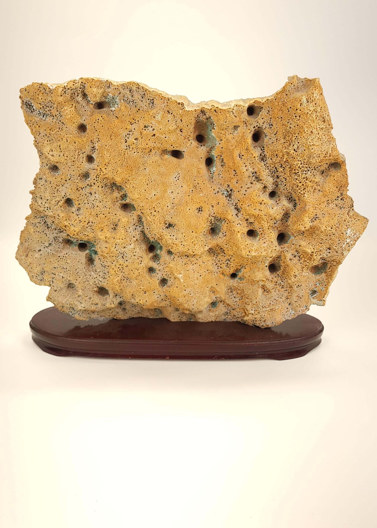 Jumbo Drusy Over Quartz Points Unique Specimen