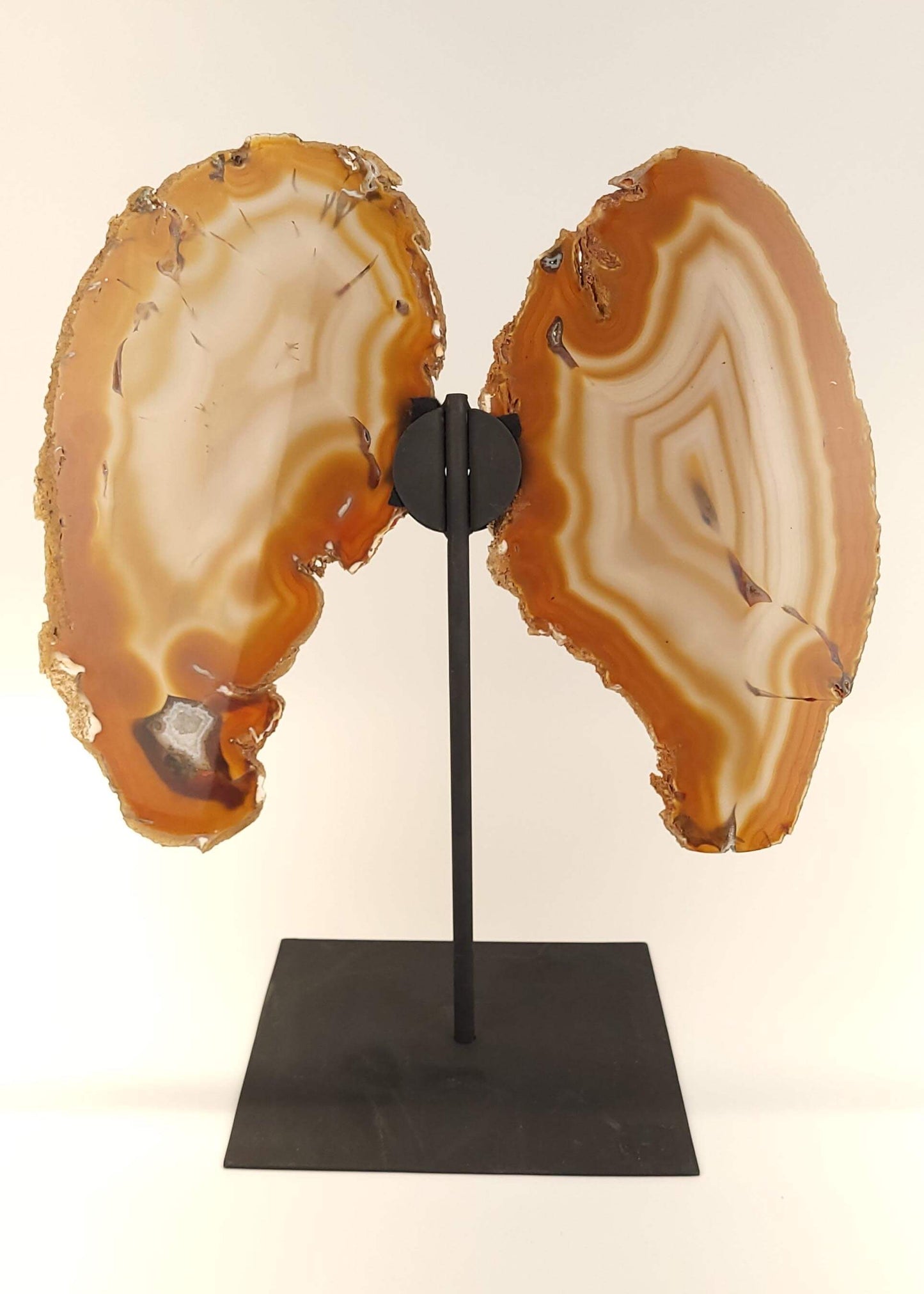 Agate Slice Butterfly on Stand