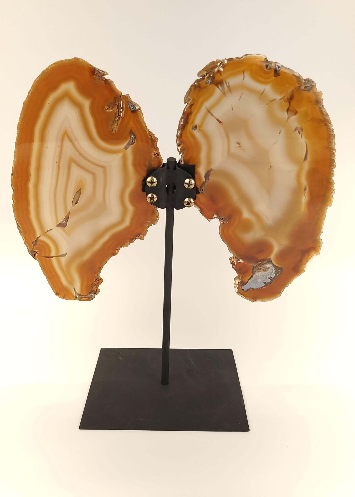 Agate Slice Butterfly on Stand