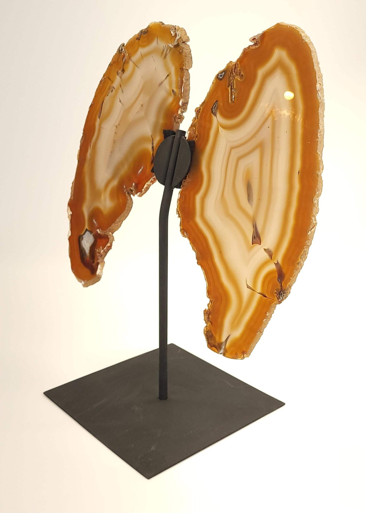 Agate Slice Butterfly on Stand