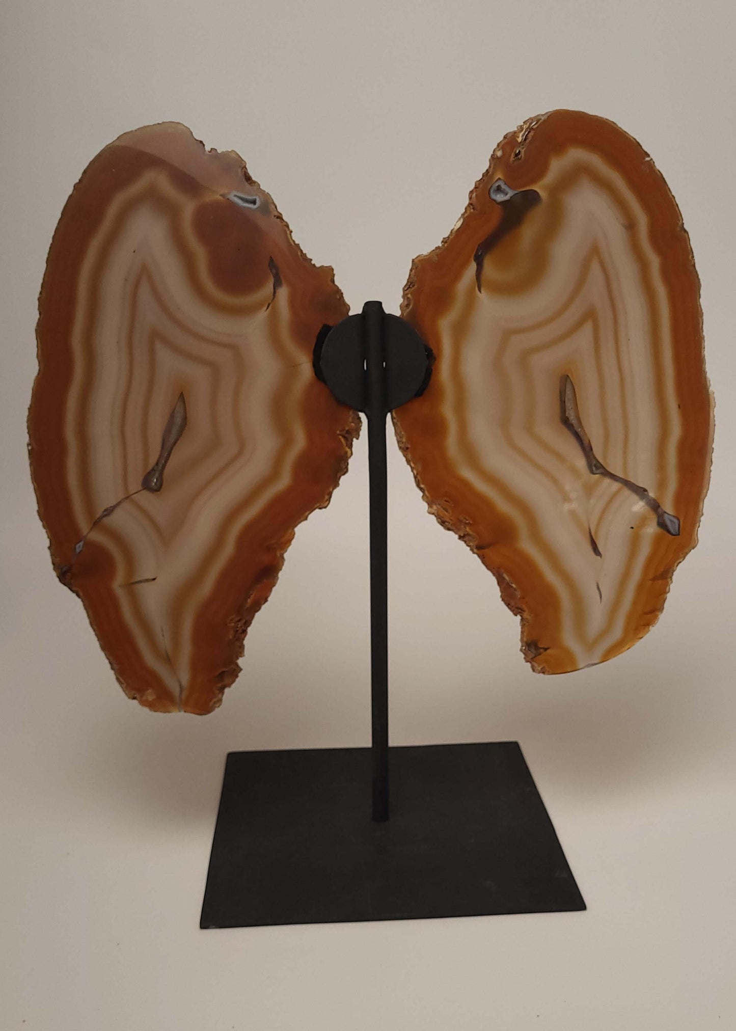 Agate Slice Butterfly on Stand