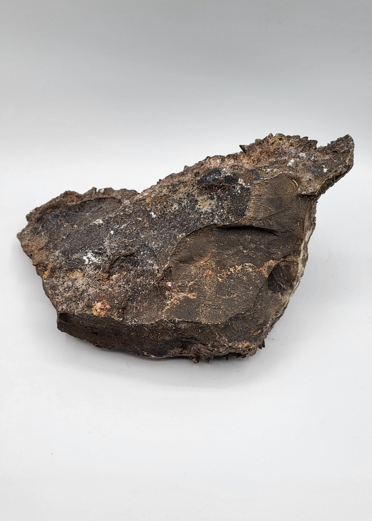 Large Dogtooth Calcite Display Specimen
