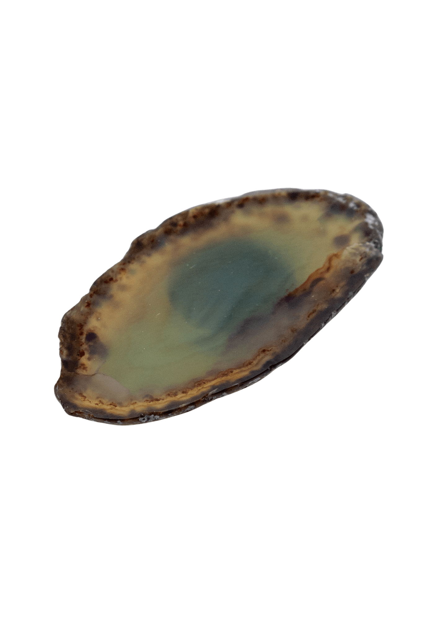 agate slice magnet front view