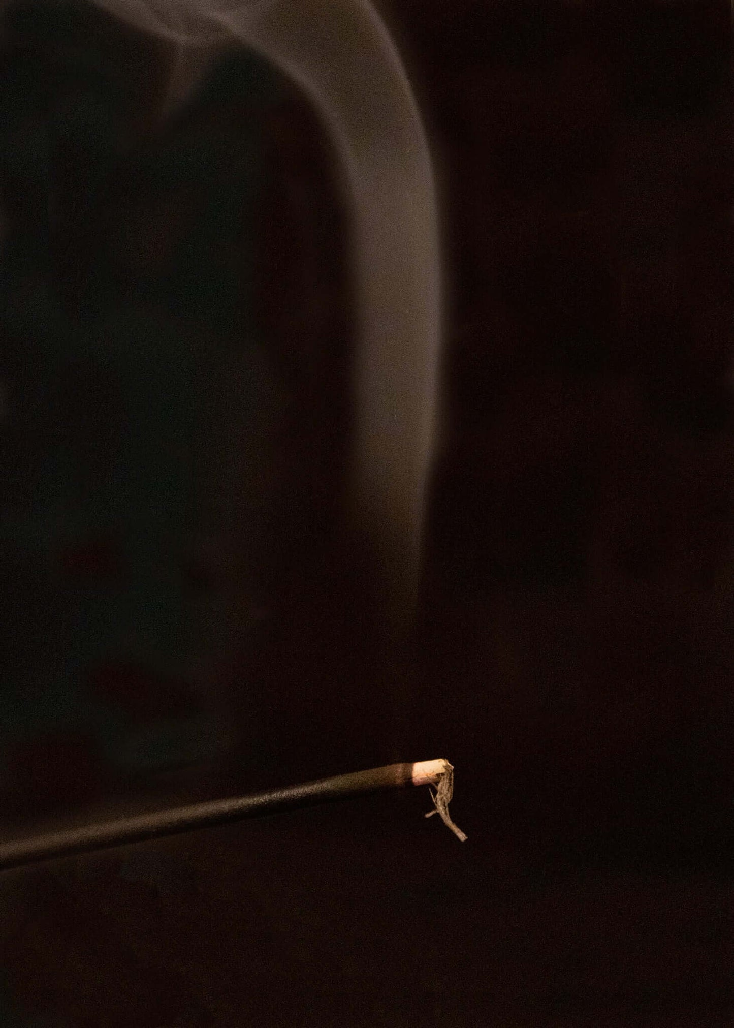 palo santo incense stick burning