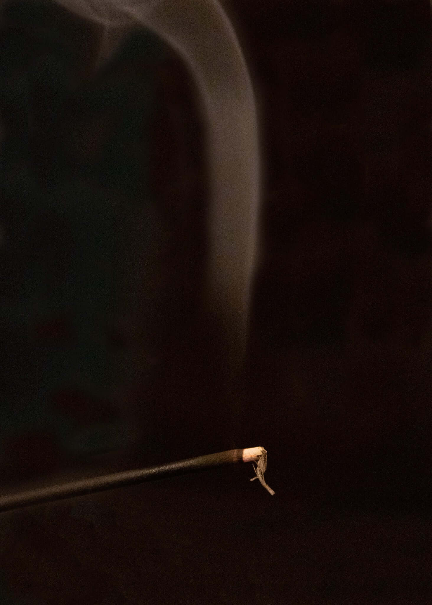 palo santo incense stick burning