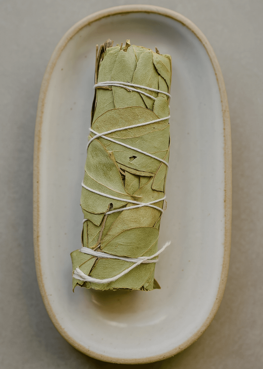 eucalyptus smudge stick on ceramic plate