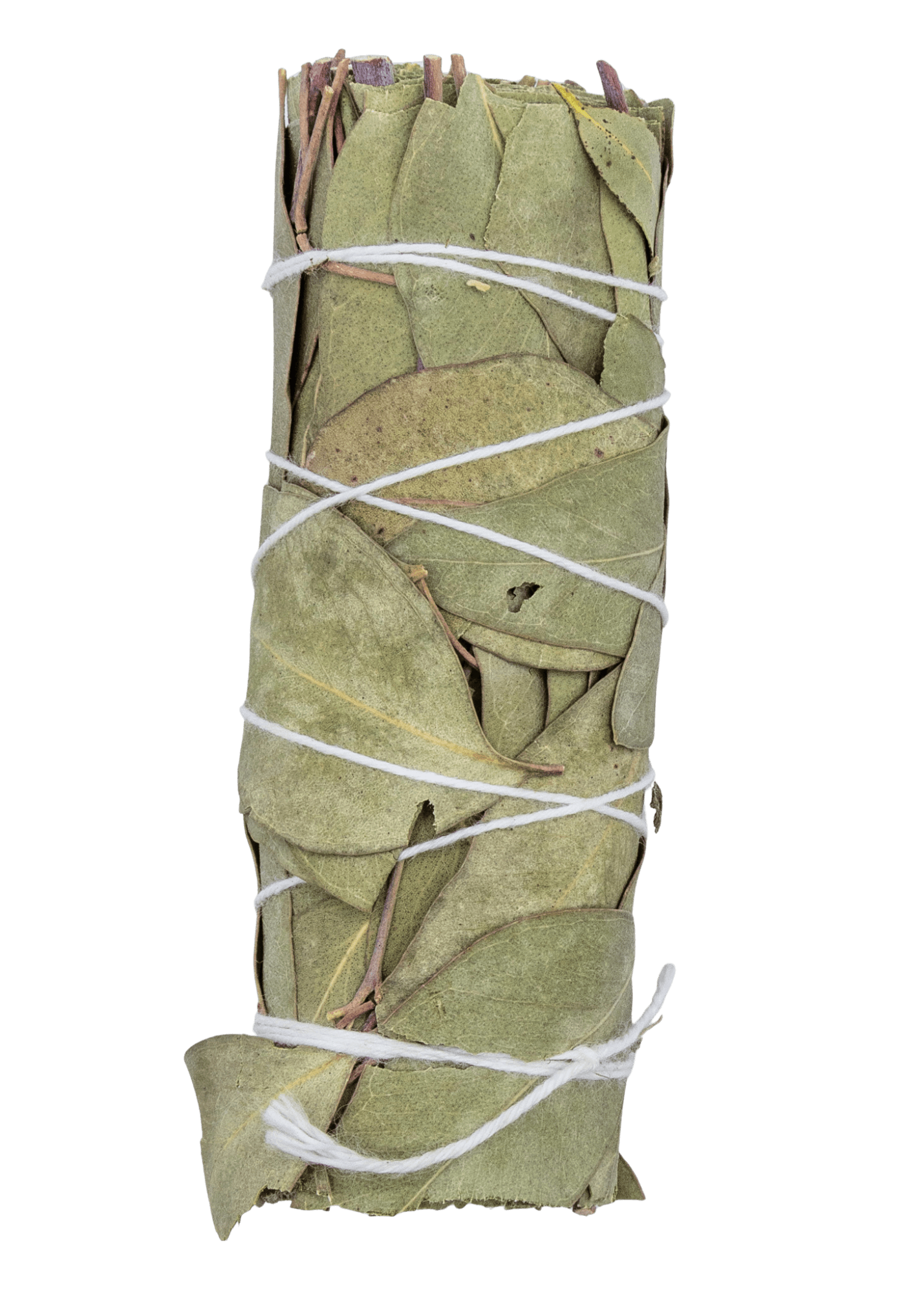 Eucalyptus smudge stick