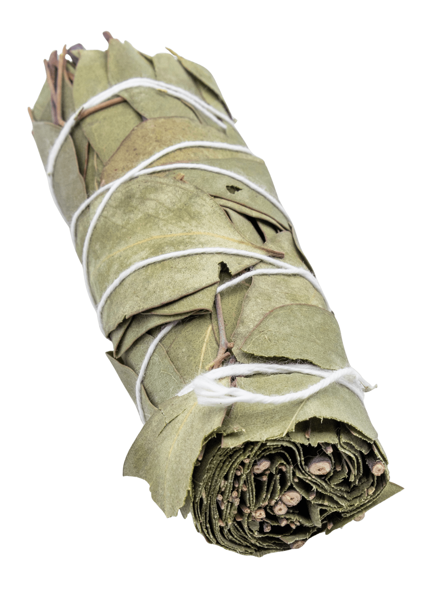Eucalyptus smudge stick angle