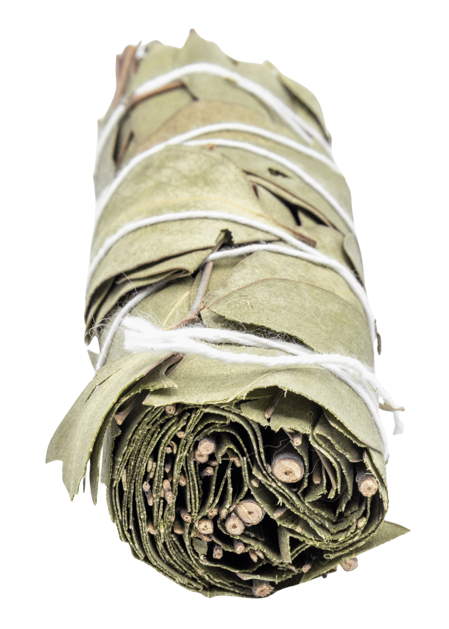 Eucalyptus smudge stick front