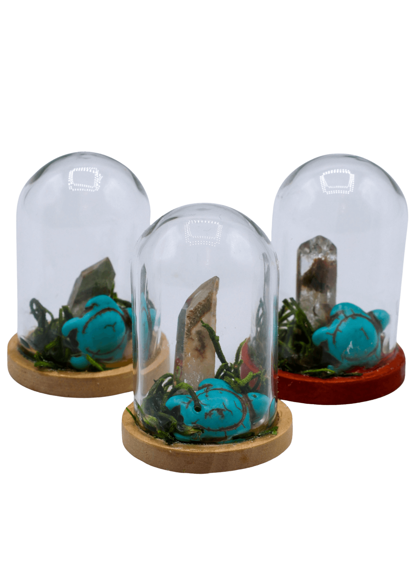 Garden Quartz Terrarium in Glass Dome group