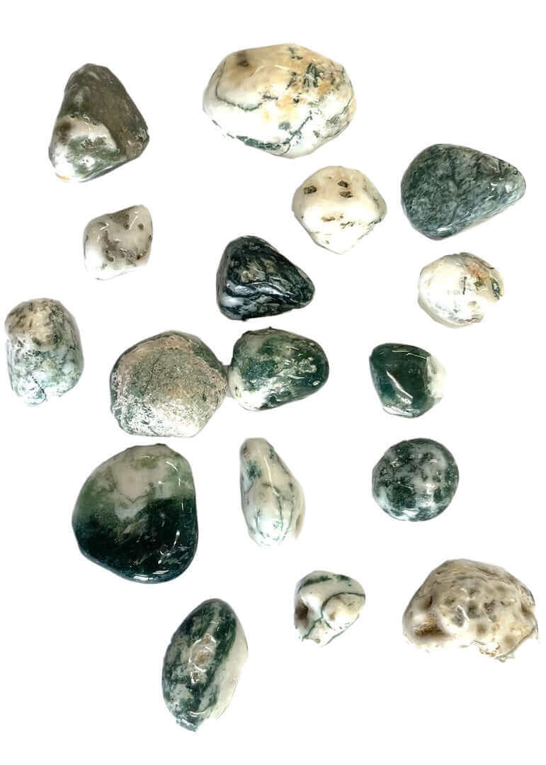 Green Tree Agate Tumbled Stone