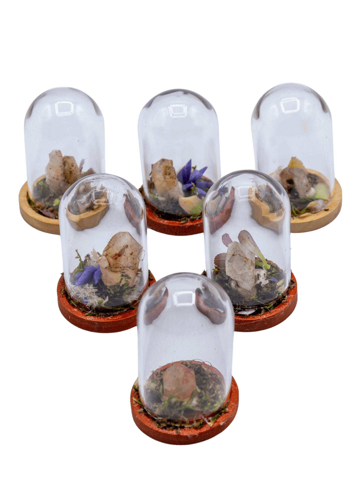 hematoid crystal terrarium group pic