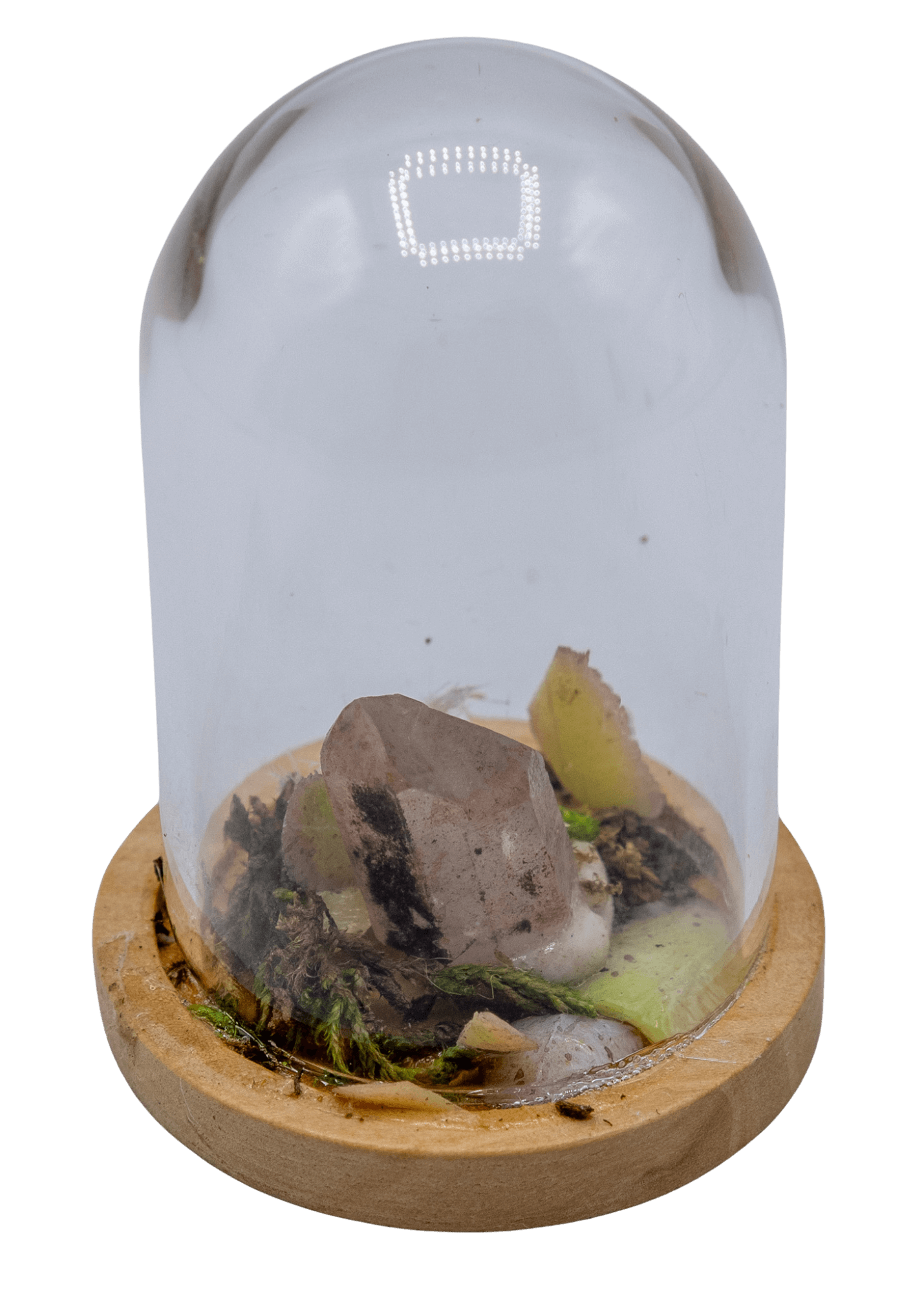 hematoid crystal terrarium 2