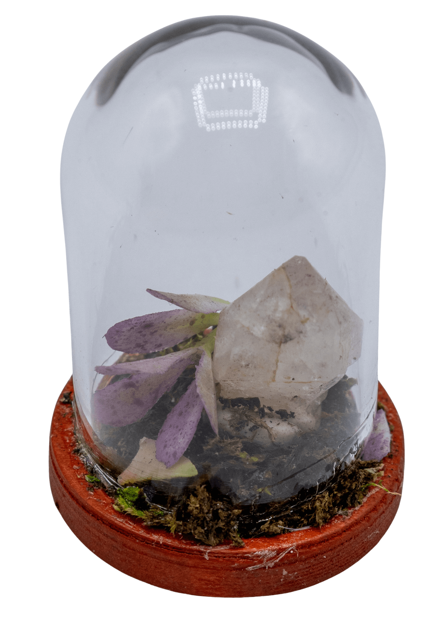 hematoid crystal terrarium 3