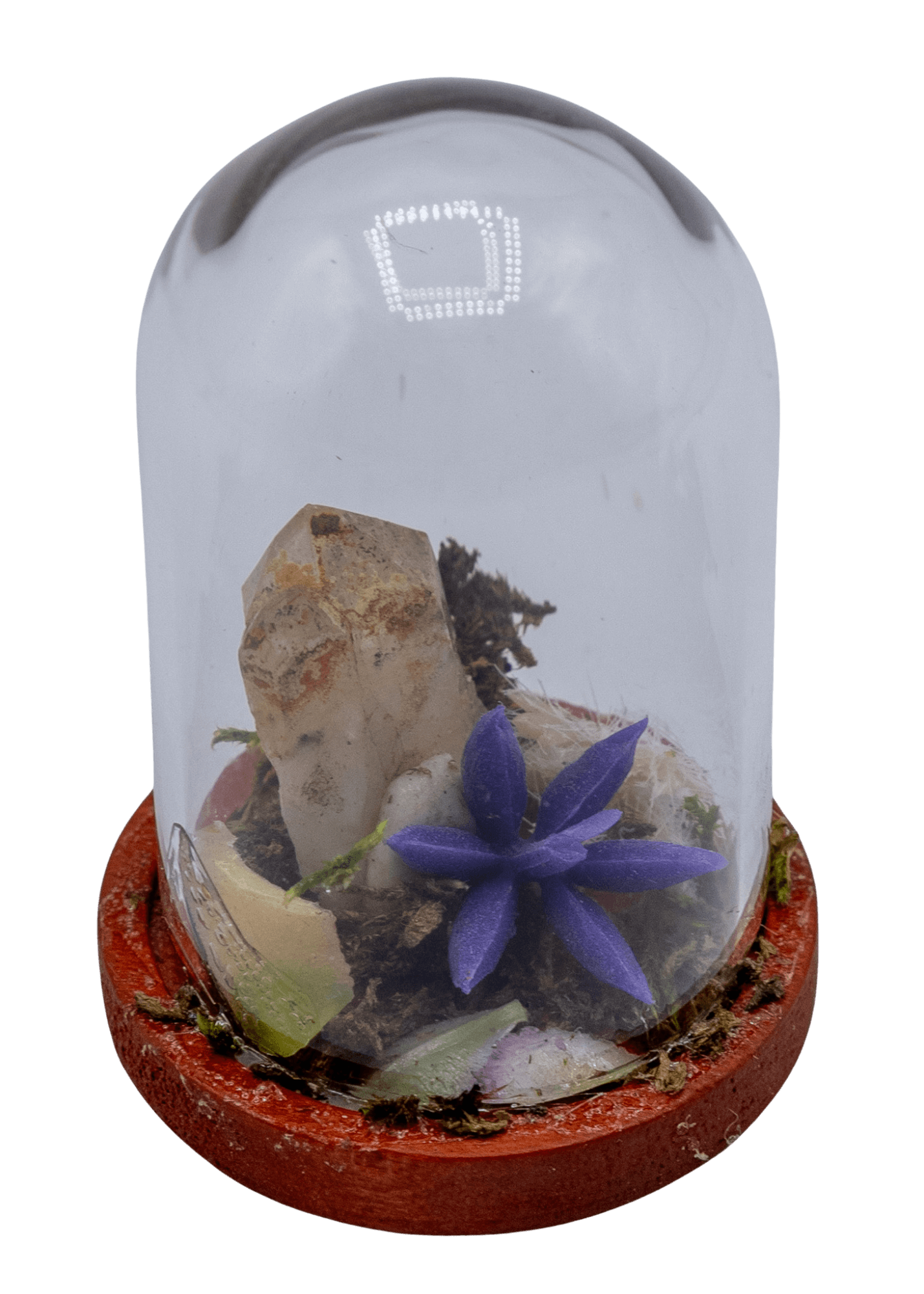 hematoid crystal terrarium 1