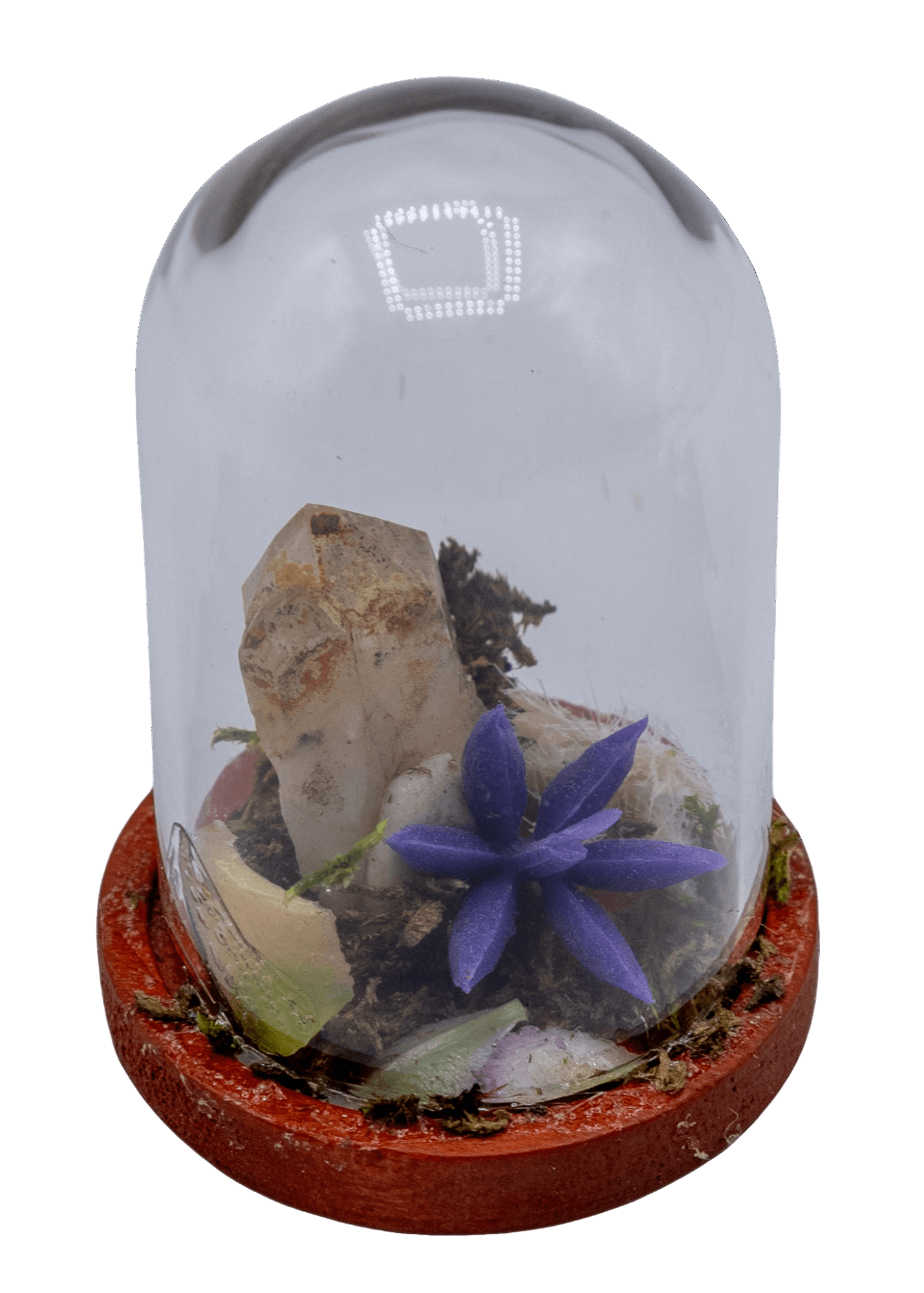 hematoid crystal terrarium 1