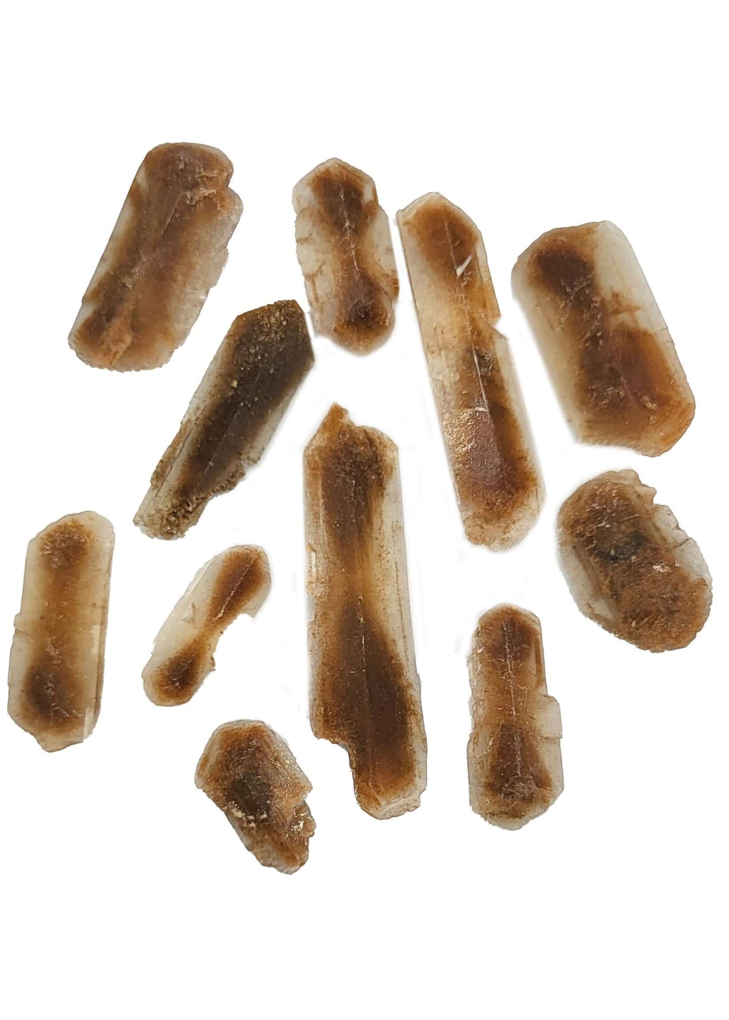 Hourglass Selenite