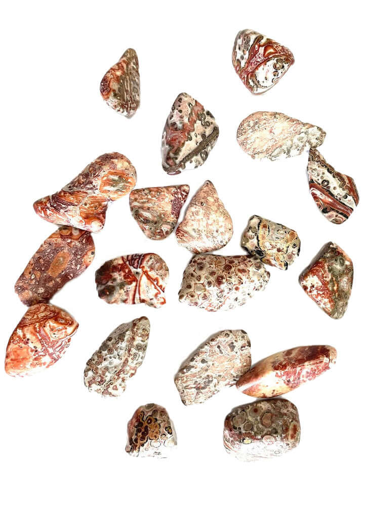 Leopard Skin Jasper Tumbled Stone