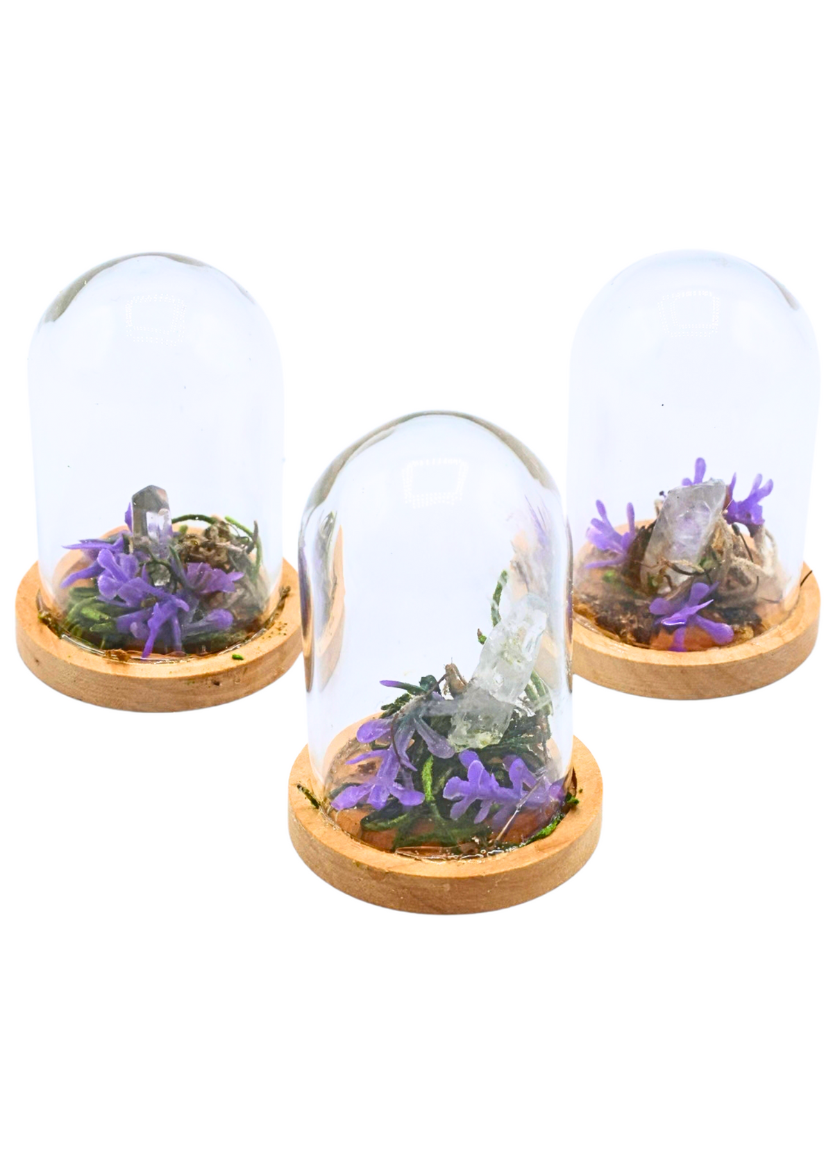 Quartz terrariums in glass domes with crystal points, moss, and purple floral accents