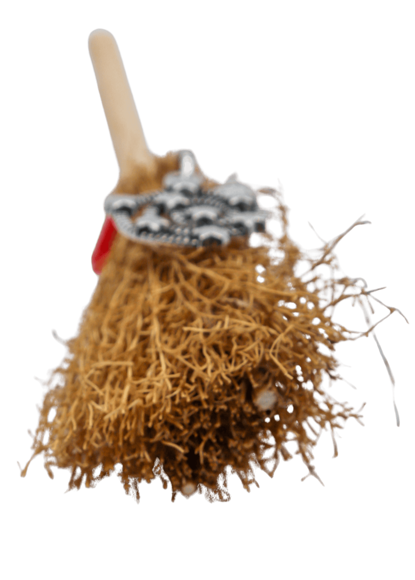 Sweep Away Confusion Witch's Broom bristle