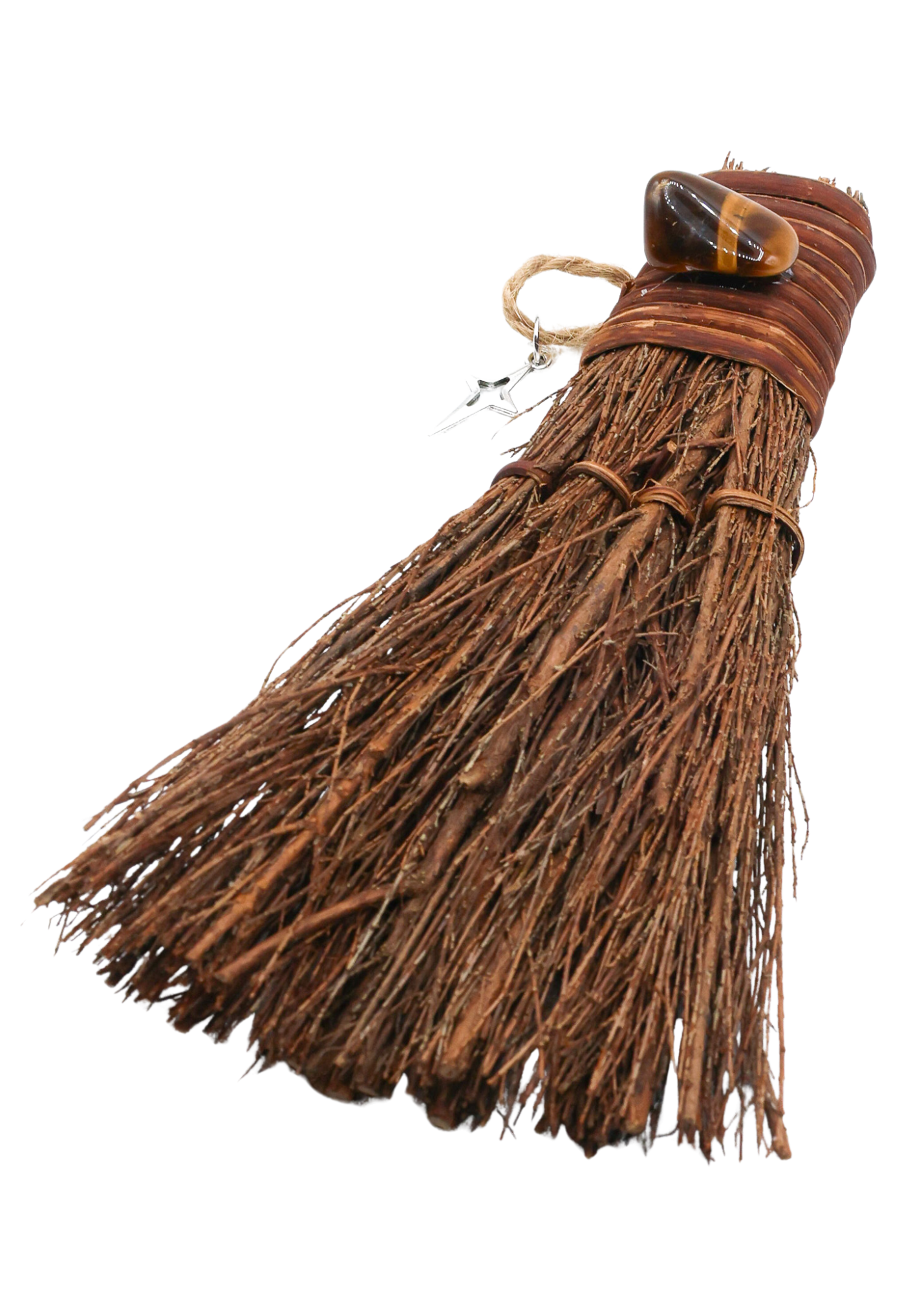 Tigers Eye Cinnamon Witch's Broom angle 2
