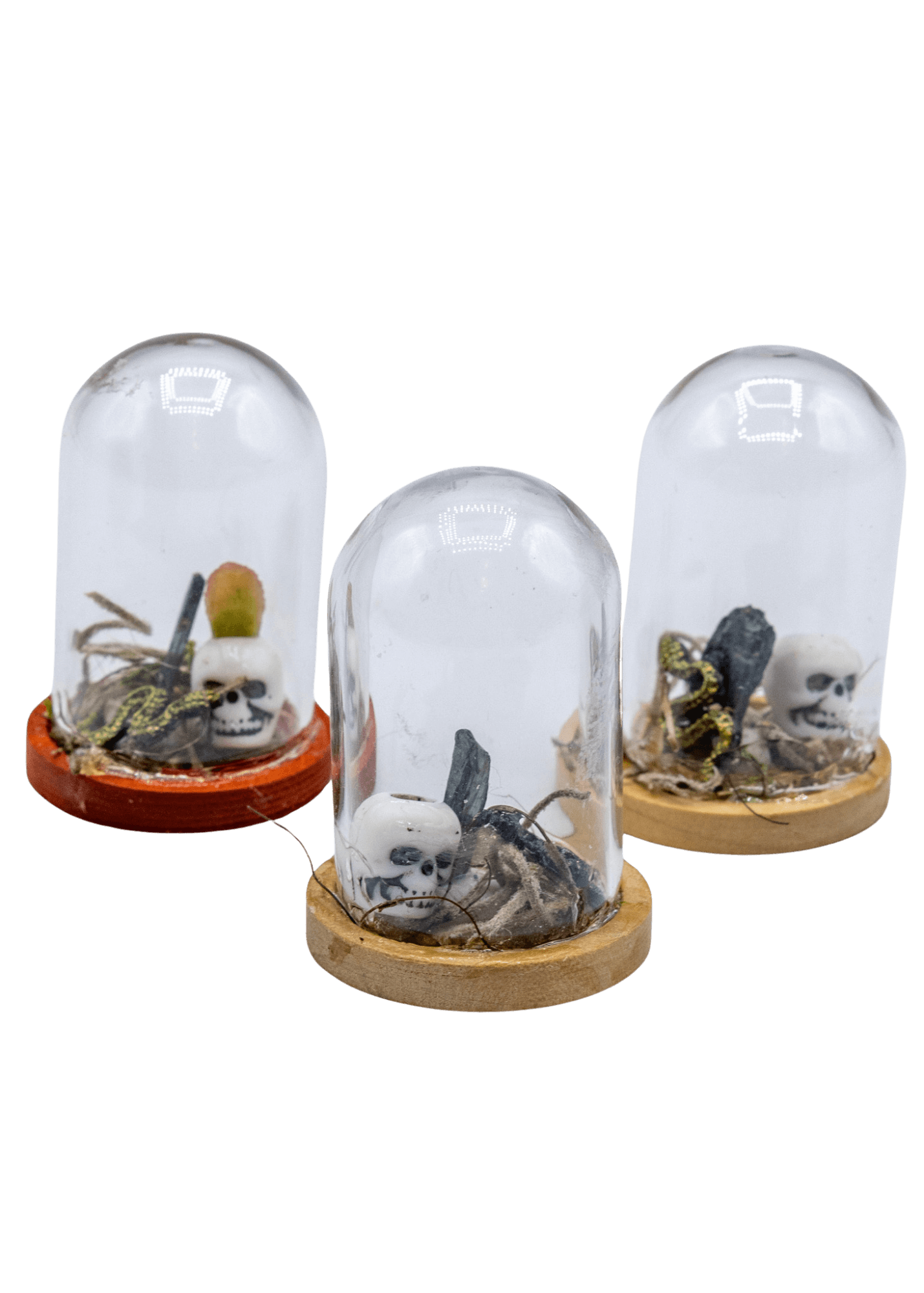 Vivianite Terrarium in Glass Dome group