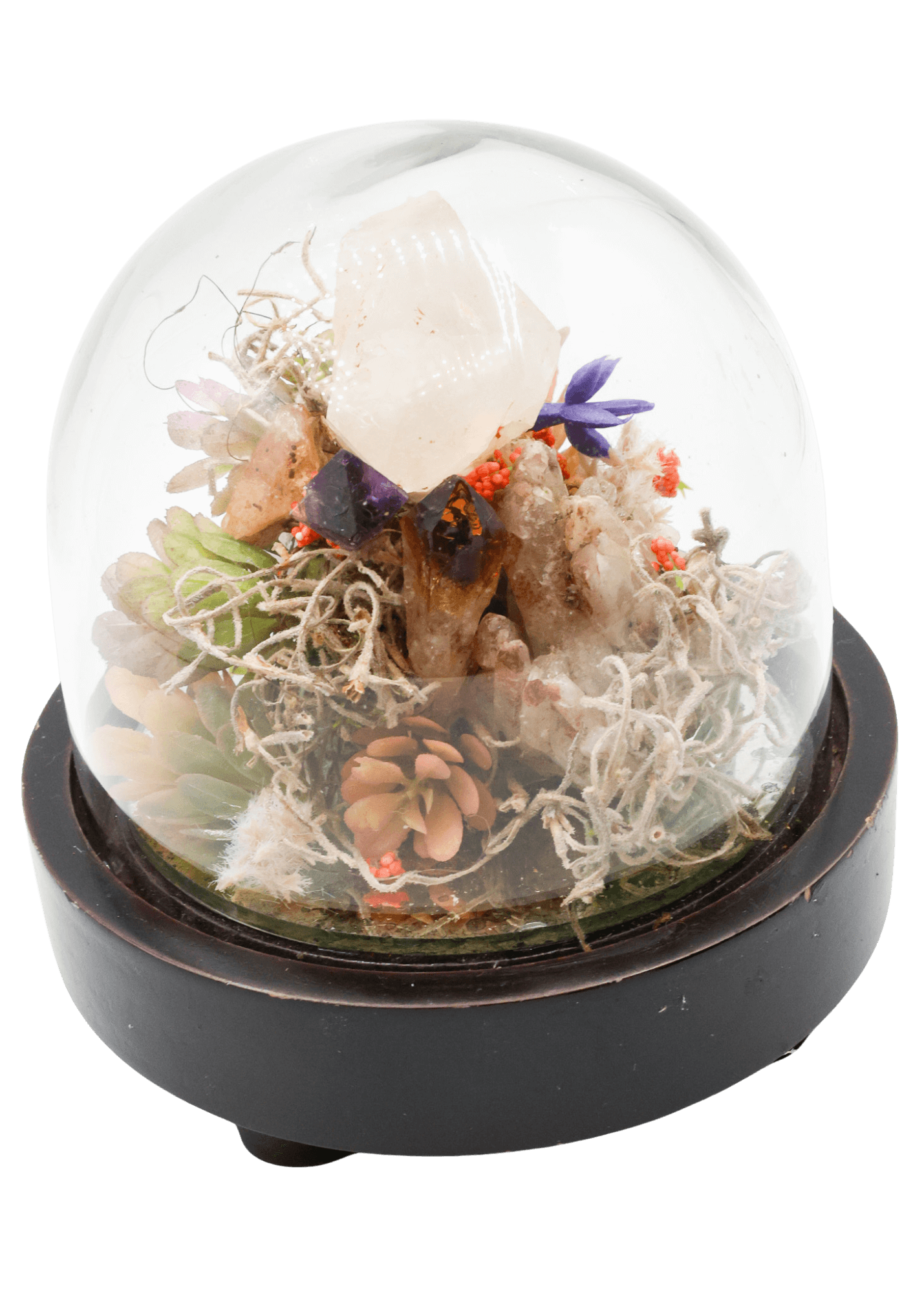 Glass Domed Terrarium with Wood Base Crystal Sculpture angle