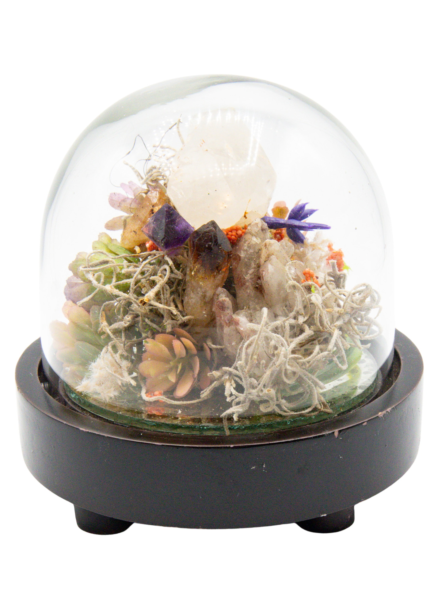 Glass Domed Terrarium with Wood Base Crystal Sculpture 1