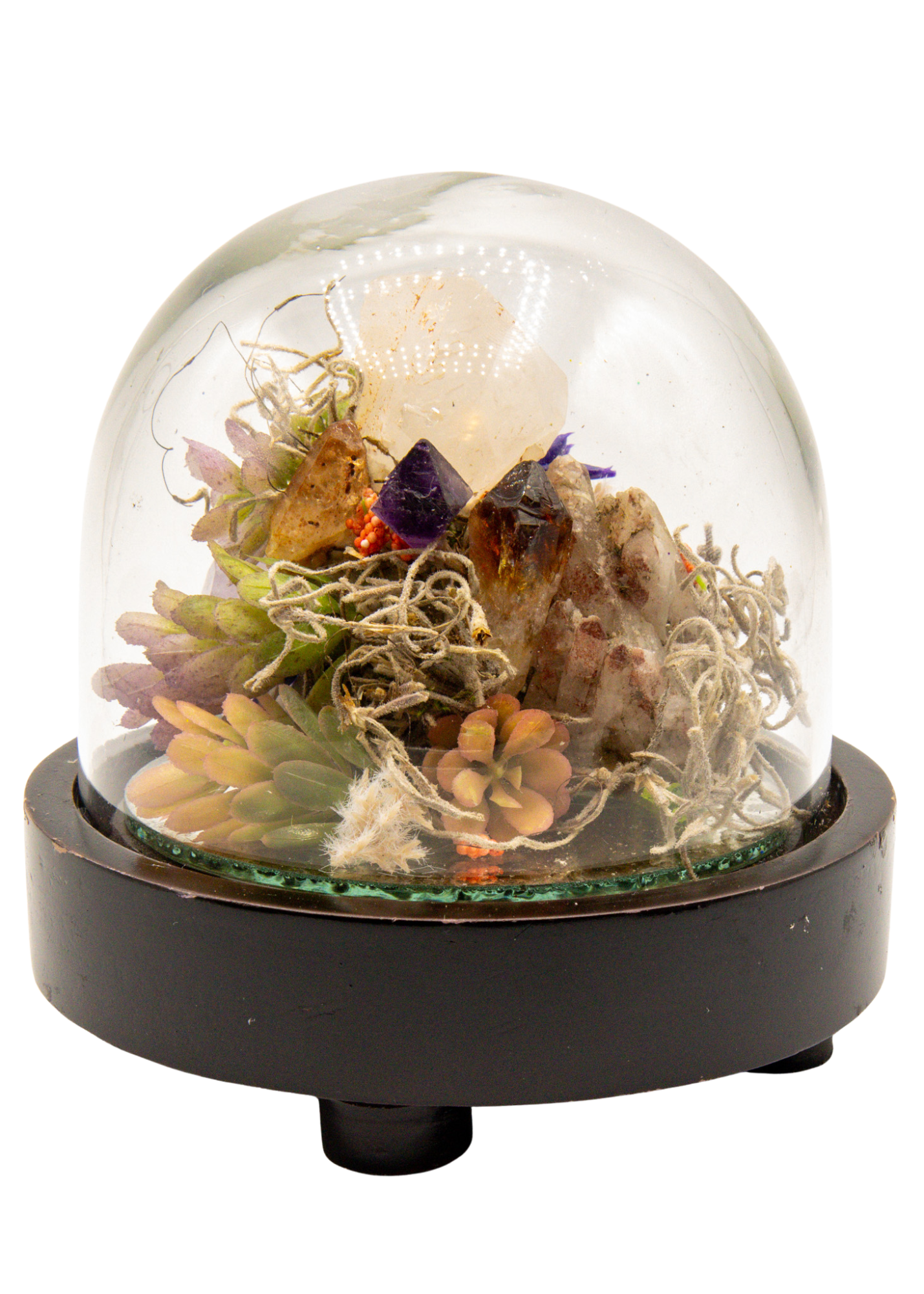 Glass Domed Terrarium with Wood Base Crystal Sculpture 4