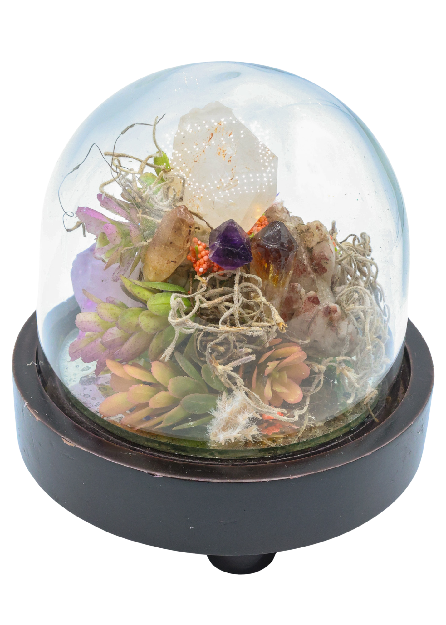 Glass Domed Terrarium with Wood Base Crystal Sculpture 5