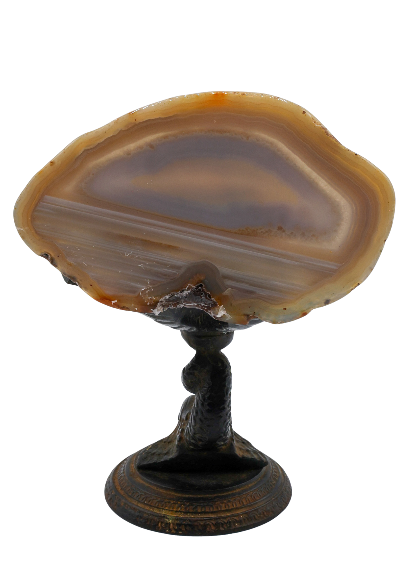 Iron Oyster Shell With Blue Phantom Crystal Sculpture back