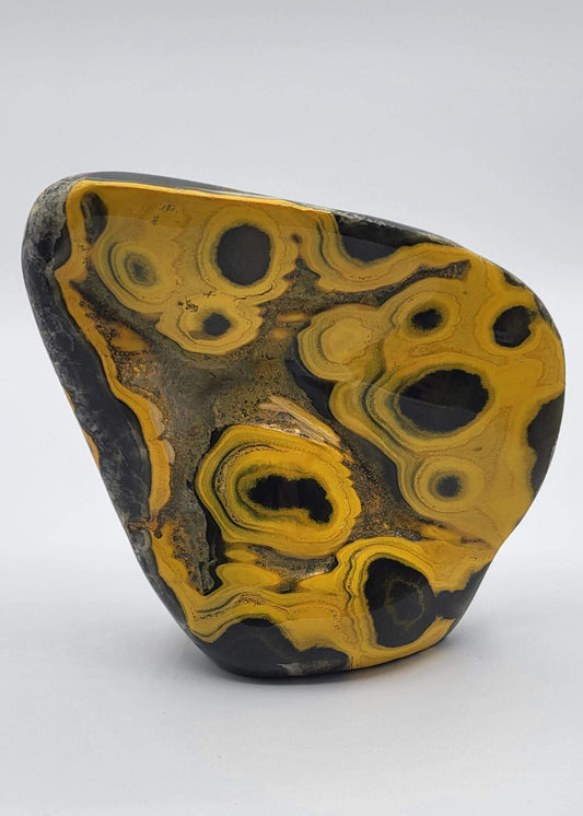 Museum Quality Polished Bumble Bee Jasper