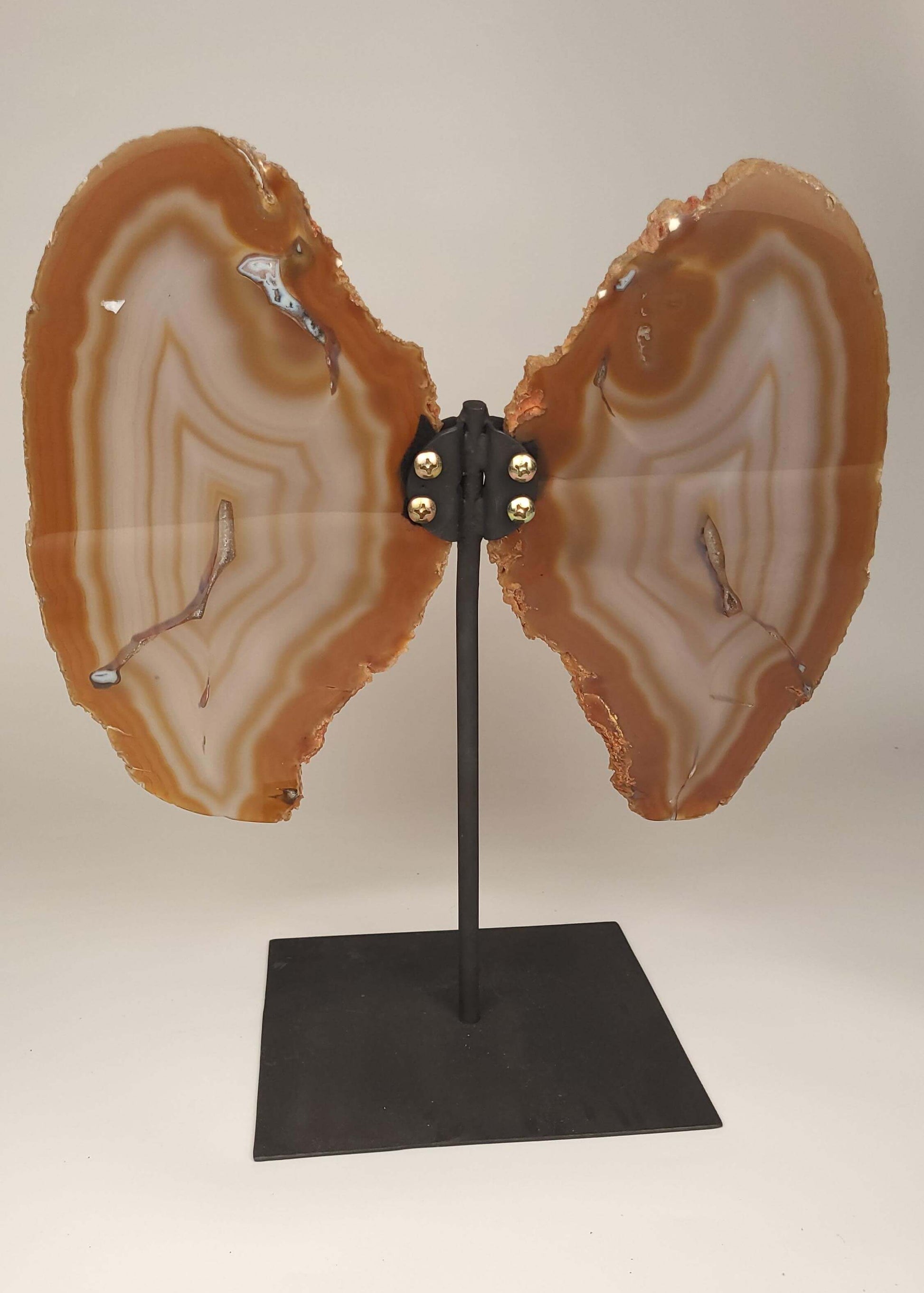 Agate Slice Butterfly on Stand