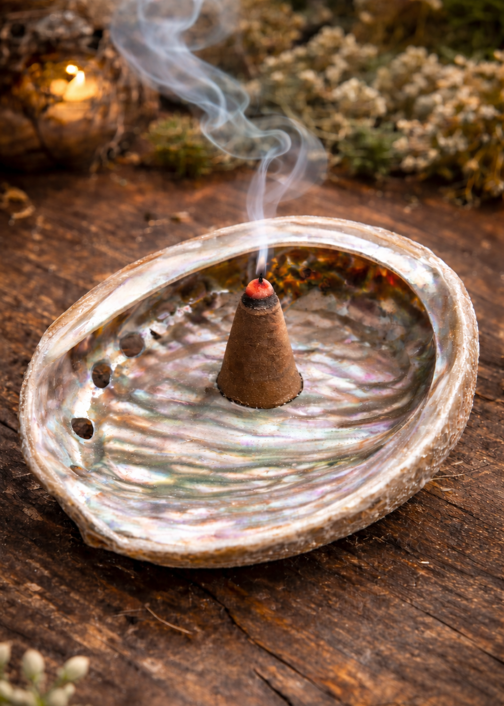 3 inch abalone shell for incense resins powders