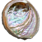Abalone Shell for smudging