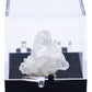 Arkansas Quartz Crystal Perky Box Display