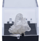 Arkansas Quartz Crystal Perky Box Display