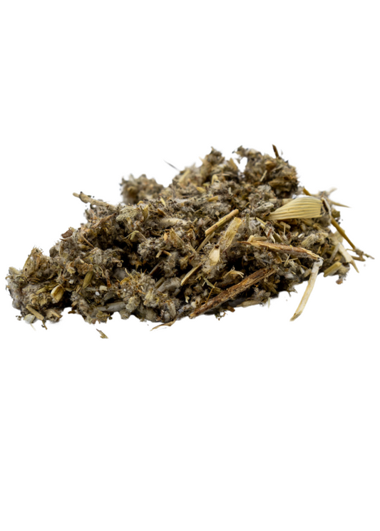 horehound ritual herb