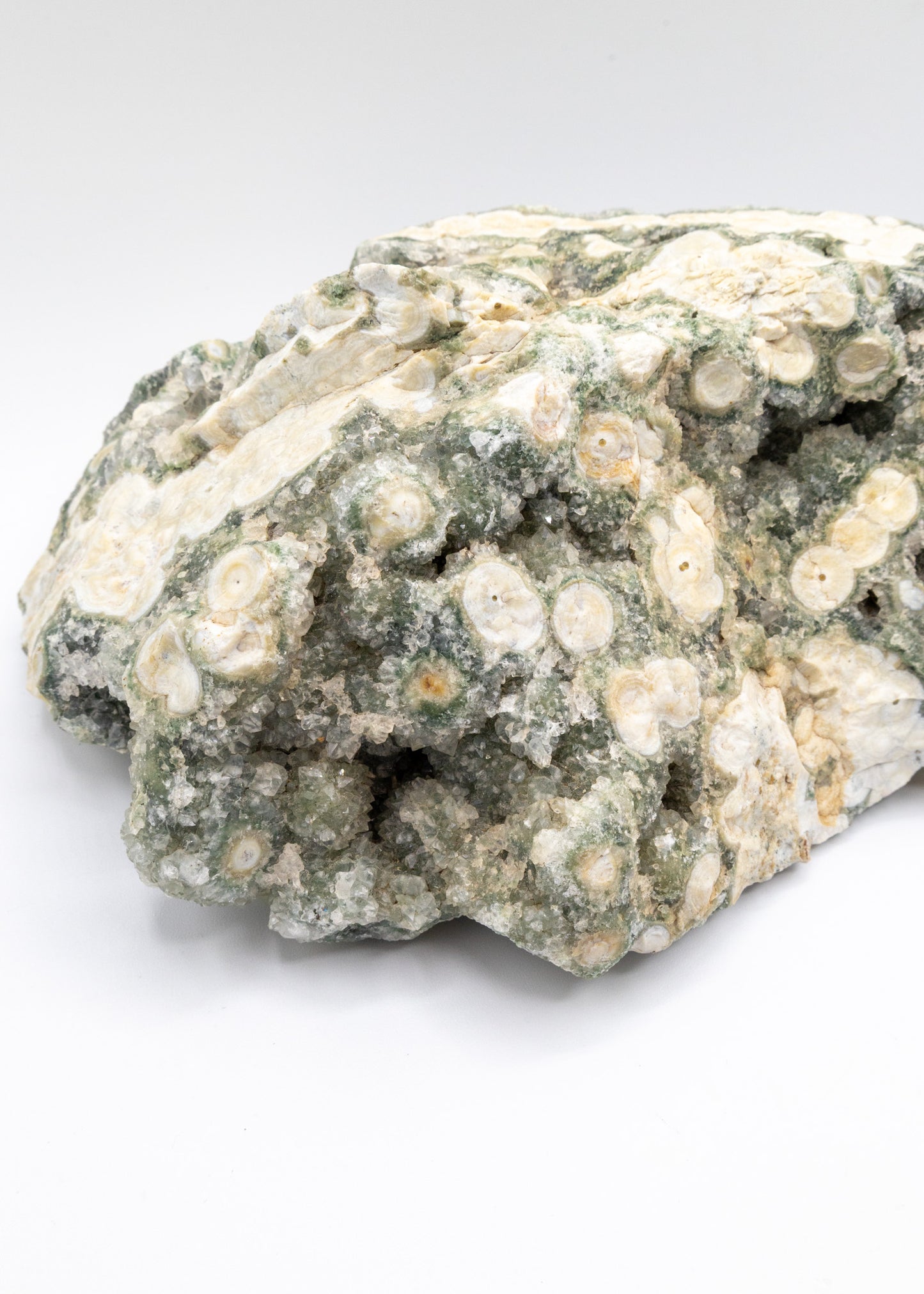 Large 8th Vein Ocean Jasper 1