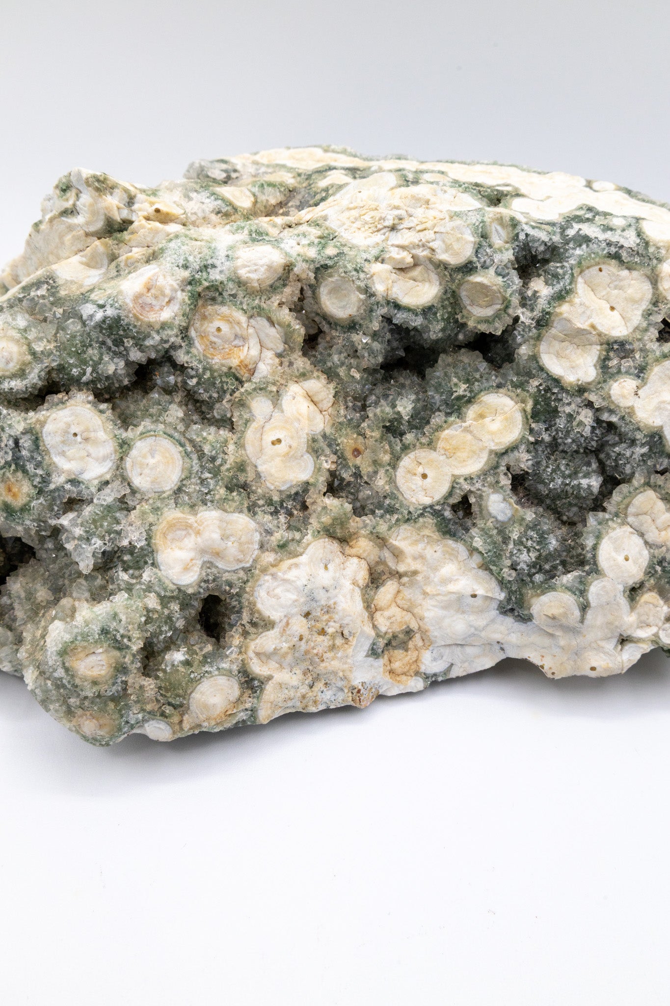 Large 8th Vein Ocean Jasper 2