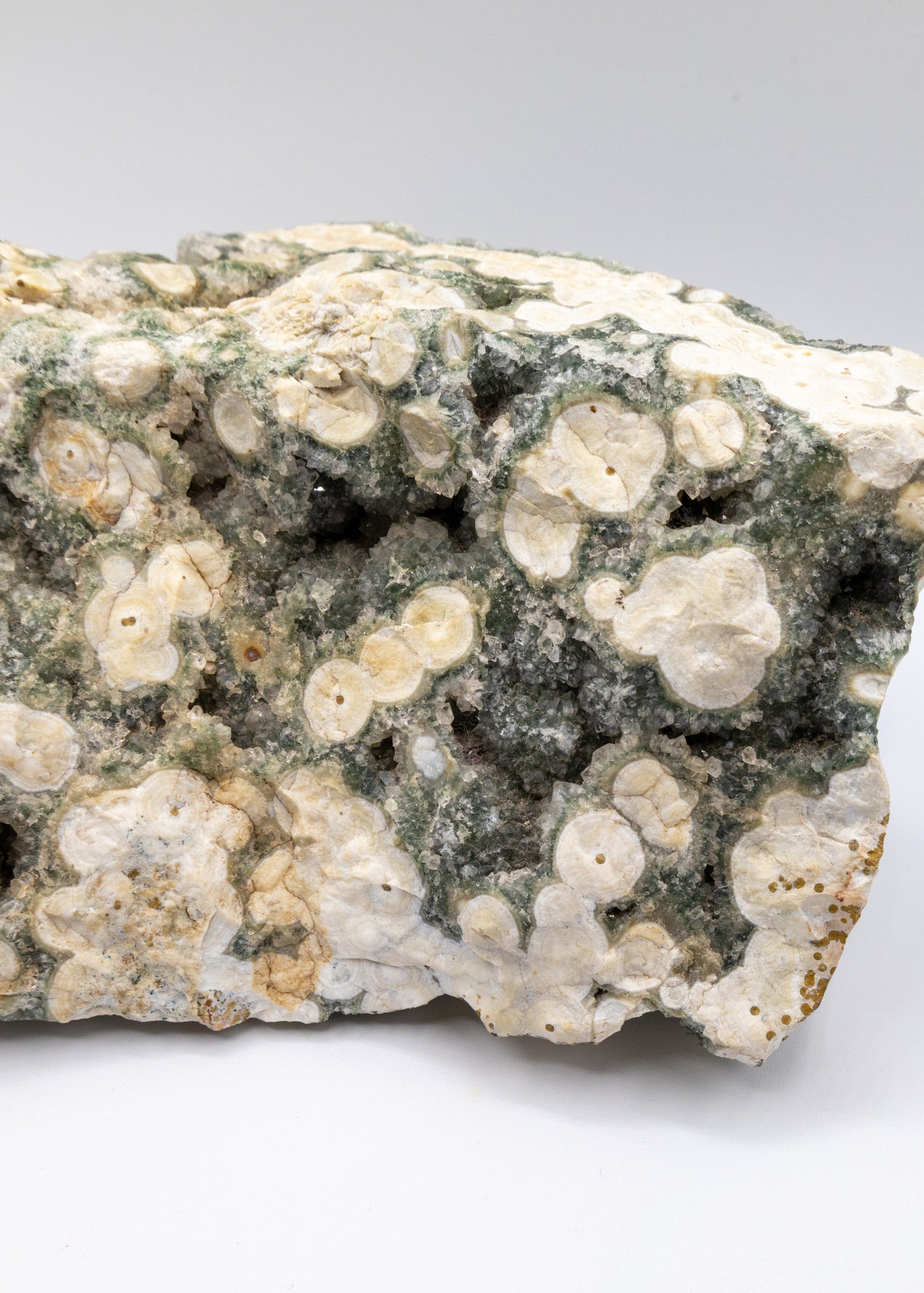 Large 8th Vein Ocean Jasper 3