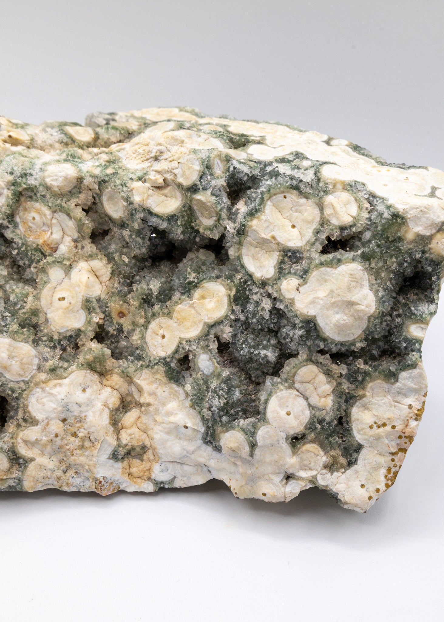 Large 8th Vein Ocean Jasper 3