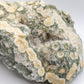Large 8th Vein Ocean Jasper 6