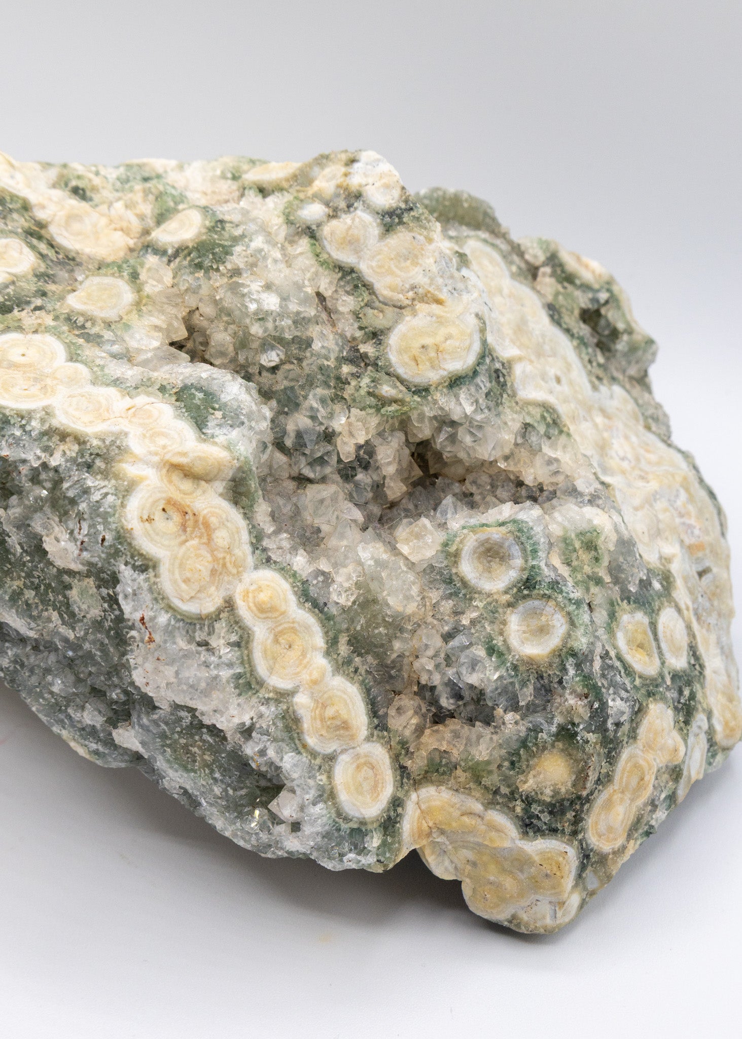 Large 8th Vein Ocean Jasper 6