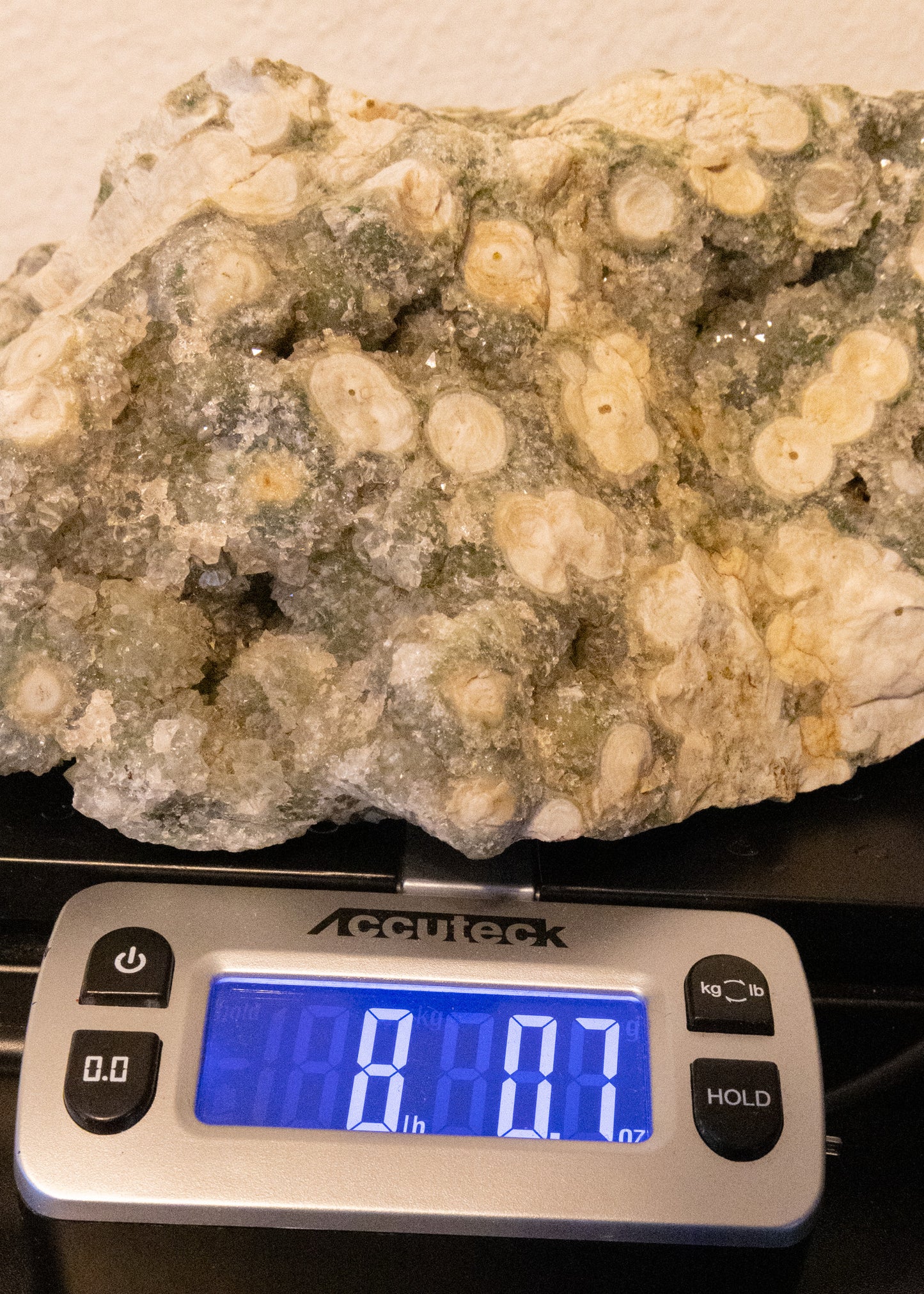 Large 8th Vein Ocean Jasper 8